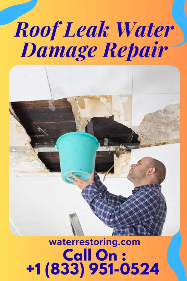Roof Leak Water Damage Repair in Orange City, FL